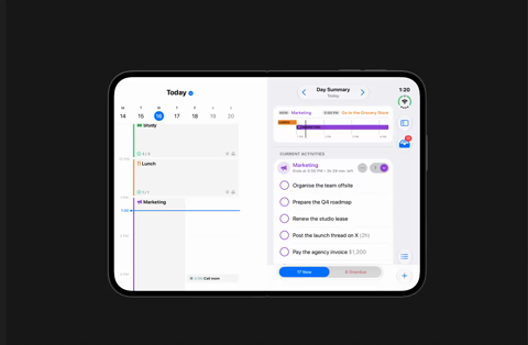 Open, landscape: Day Summary beside the timeline